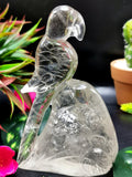 Beautifully hand carved bird carving on natural clear quartz stone - reiki/energy/chakra - 5.5 inches long and 430 gms (0.95 lb)