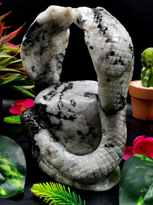 Unique carving of a pair of cobra snakes with raised hood in moonstone - crystal healing / chakra / reiki - 7 inches and 2.1 kg (4.62 lb)