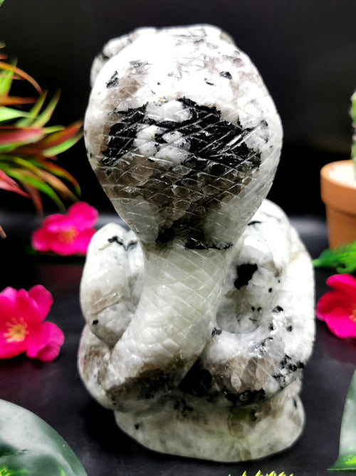 Unique carving of a pair of cobra snakes with raised hood in moonstone - crystal healing / chakra / reiki - 6 inches and 2.22 kg (4.88 lb)