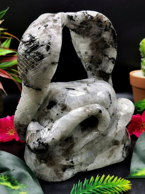 Unique carving of a pair of cobra snakes with raised hood in moonstone - crystal healing / chakra / reiki - 6 inches and 2.22 kg (4.88 lb)