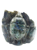Labradorite Buddha Head on leaf - handmade carving of serene and meditating Lord Buddha - crystal/reiki/chakra - 7 inches and 2.82 kg