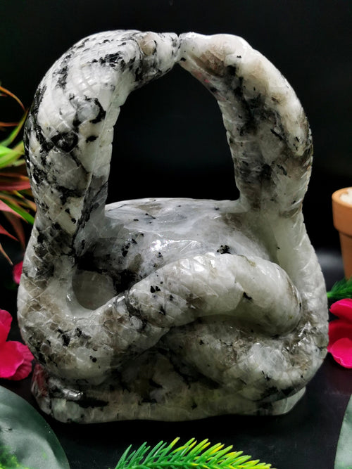 Unique carving of a pair of cobra snakes with raised hood in moonstone - crystal healing / chakra / reiki - 6 inches and 2.22 kg (4.88 lb)