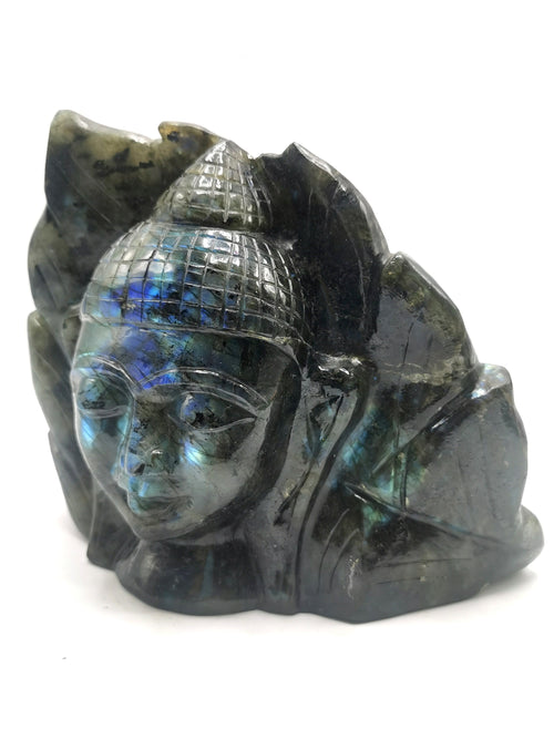 Labradorite Buddha Head on leaf - handmade carving of serene and meditating Lord Buddha - crystal/reiki/chakra - 7 inches and 2.82 kg