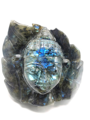 Labradorite Buddha Head on leaf - handmade carving of serene and meditating Lord Buddha - crystal/reiki/chakra - 7 inches and 2.82 kg