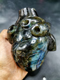 Natural Labradorite Anatomical Heart carving - Human Heart/Crystal Heart - reiki/chakra/healing/energy - 1.1 kgs and 5 inches