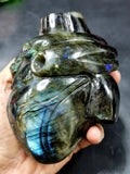 Natural Labradorite Anatomical Heart carving - Human Heart/Crystal Heart - reiki/chakra/healing/energy - 1.1 kgs and 5 inches