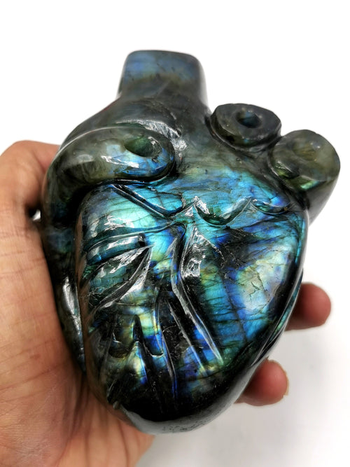 Natural Labradorite Anatomical Heart carving - Human Heart/Crystal Heart - reiki/chakra/healing/energy - 840 gms and 4.5 inches