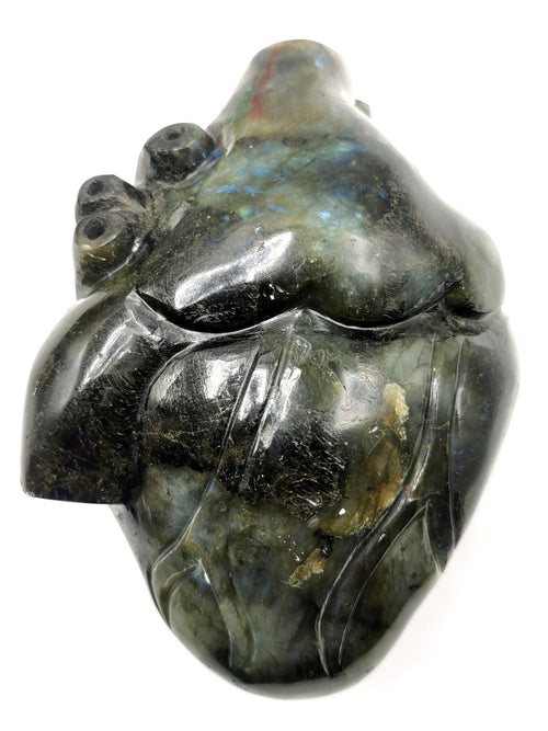 Natural Labradorite Anatomical Heart carving - Human Heart/Crystal Heart - reiki/chakra/healing/energy - 1.1 kgs and 5 inches