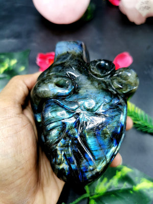 Natural Labradorite Anatomical Heart carving - Human Heart/Crystal Heart - reiki/chakra/healing/energy - 840 gms and 4.5 inches