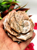 Zebra jasper hand carved rose flower carvings - crystal/gemstone/reiki/chakra/healing - ONE PIECE ONLY - 3 inches and 260 gms (0.57 lb)
