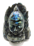 Labradorite or blacvk moonstone Buddha Head on leaf - handmade carving of serene and meditating Lord Buddha - crystal/reiki/chakra - 8 inches and 3.14 kg