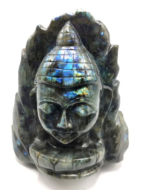 Labradorite or blacvk moonstone Buddha Head on leaf - handmade carving of serene and meditating Lord Buddha - crystal/reiki/chakra - 8 inches and 3.14 kg