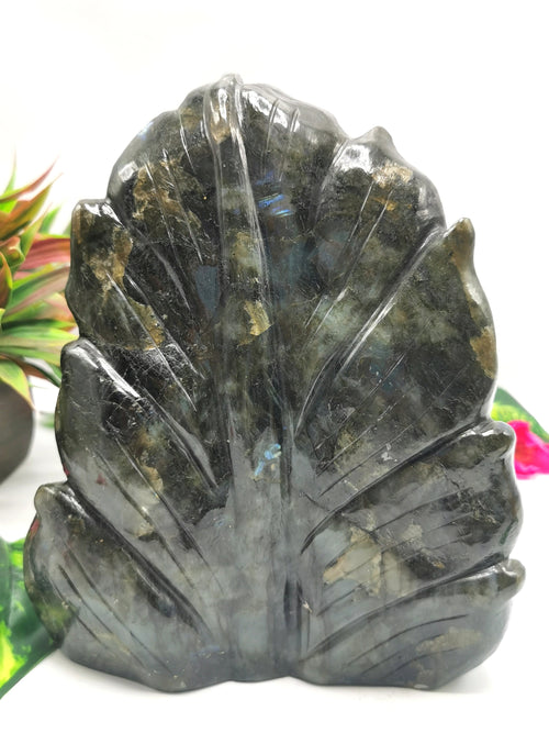 Labradorite or blacvk moonstone Buddha Head on leaf - handmade carving of serene and meditating Lord Buddha - crystal/reiki/chakra - 8 inches and 3.14 kg