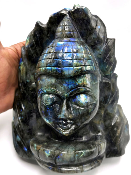 Labradorite or blacvk moonstone Buddha Head on leaf - handmade carving of serene and meditating Lord Buddha - crystal/reiki/chakra - 8 inches and 3.14 kg
