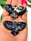 Sodalite eagle / phoenix carving - reiki/chakra/energy -  2 inches and 29 gms - ONE PIECE ONLY - animal lapidary