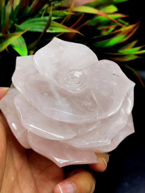 Quartz Roses - Rose Quartz hand carved rose flower carvings - crystal/gemstone/reiki/chakra/healing - ONE PIECE ONLY - 3.75 inches and 480 gms (1.06 lb)