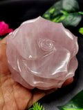 Rose Flower carving in Rose Quartz hand carved  - crystal/gemstone/reiki/chakra/healing - ONE PIECE ONLY - 3.5 inches and 465 gms (1.02 lb)