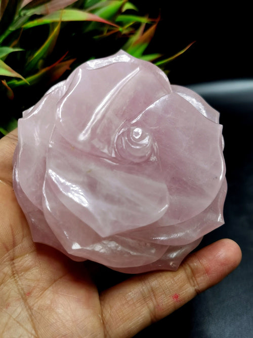 Rose Flower carving in Rose Quartz hand carved  - crystal/gemstone/reiki/chakra/healing - ONE PIECE ONLY - 3.5 inches and 465 gms (1.02 lb)