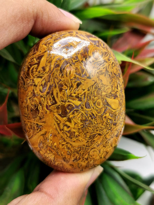 Natural Mariam Jasper crystal palmstones - ONE PIECE ONLY - crystal/chakra/reiki/healing - 90 gms weight