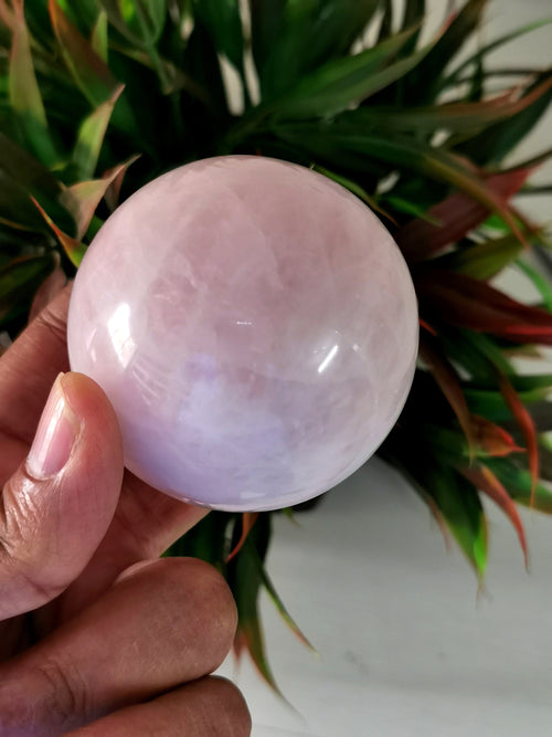 Rose Quartz stone sphere/ball - Energy/Reiki/Crystal Healing - 2.5 inches diameter and 240 gms (0.53 lb) - ONE PIECE ONLY - Shwasam