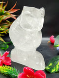 Hand carved owl carving in natural clear quartz stone - reiki/chakra/healing/crystal - 5 inches and 1.38 kg (3.04 lb)