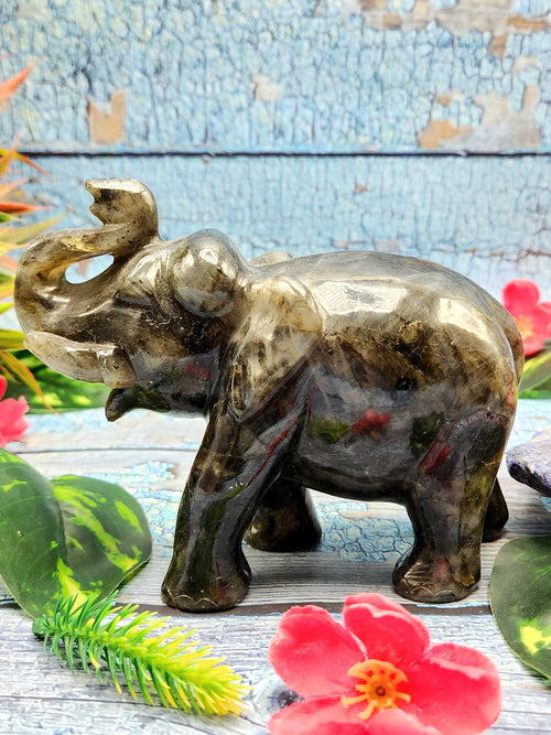 Black Rainbow moonstone or Labradorite carving of Elephant with beauti