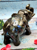 Labradorite animal carving of Elephant with beautiful flash - Elephant gifts, Animal figurines and hand carvings in labradorite - 5 inches