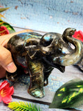 Gift an Elephant - Labradorite carving of Elephant with beautiful flash - Animal figurines and hand carvings in labradorite - 4 inches
