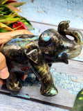 Gift an Elephant - Labradorite carving of Elephant with beautiful flash - Animal figurines and hand carvings in labradorite - 4 inches
