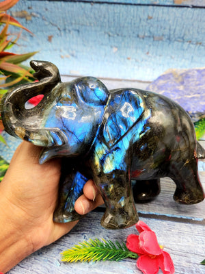 Labradorite animal carving of Elephant with beautiful flash - Elephant gifts, Animal figurines and hand carvings in labradorite - 5 inches