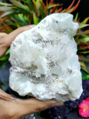 Scolecite natural free forms - reiki/energy/chakra/healing - 4 inches and 490 gms (1.08 lb)