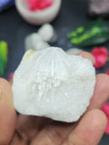 Set of 4 Scolecite natural free forms - reiki/energy/chakra/healing - 2.5 inches and 270 gms (0.59 lb)