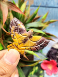 Exquisite Handmade Carving of Phoenix/Eagle in Mookaite Jasper Stone - Symbol of Transformation and Vitality - 2 inches - ONE PIECE ONLY