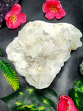 Scolecite natural free forms - reiki/energy/chakra/healing - 4 inches and 490 gms (1.08 lb)
