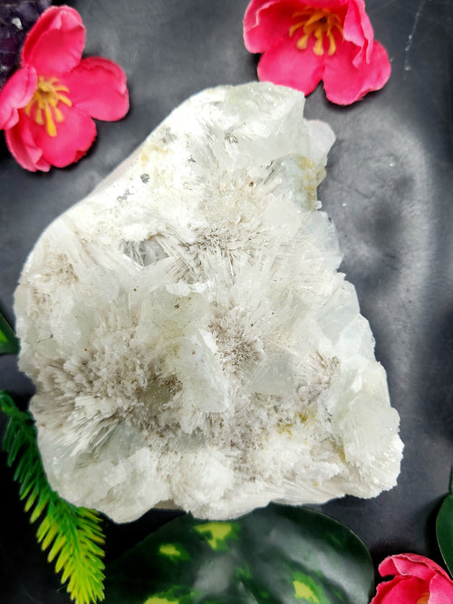 Scolecite natural free forms - reiki/energy/chakra/healing - 4 inches and 490 gms (1.08 lb)